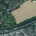 Person experiencing abdominal pain near Albany