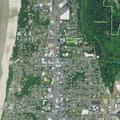 Elderly woman unable to get up near Newport