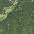 Vehicle hits moose near town line, no injuries