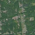 Animal complaint near Staley Road in Morrisonville