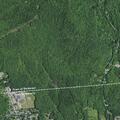 84-year-old female fell with possible leg injury
