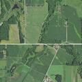 Cow reported near roadway on County Road H