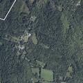 Man weak with fever near Bald Mountain Road