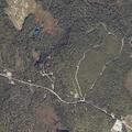 Female patient dizzy and vomiting near Hardwood Hill Road Waltham