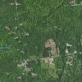67-year-old man fainted, found in woods behind house