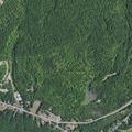 Man reports niece took his cell phone near Route 374, Cadyville