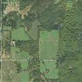 Domestic dispute call near Green Road in Curran