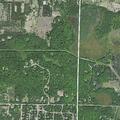 81-year-old woman very dizzy near Woods Trail