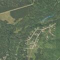 Loud party complaint near Timberlane Trail