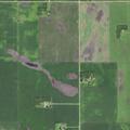 Man with low blood sugar found lying near pasture