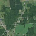 Elderly woman with back pain after fall at Pelham Rd