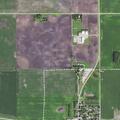 Loose dog reported at Main Street intersection