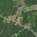 Car hits deer on Wilfred King Road, no injuries