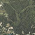 80-year-old woman confused and cold in Holden