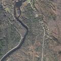 Injured moose reported on Route 16 near Errol