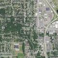 Car hits tree and occupants leave on foot