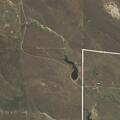 Report of overnight bear conflict on forest road