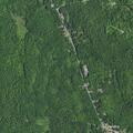 87-year-old woman sick near Rand Hill Road