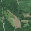 83-year-old woman reported weak near Joetown Road