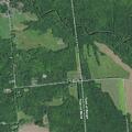 74-year-old man injured by tree while cutting wood