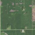 Person fainted near 850th Avenue in Buffalo Lake