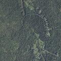 Downed power line reported on Davis Road