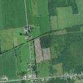 Cow reported on roadside near North Bangor