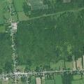 Elderly woman reported dizzy at home in Bangor