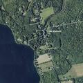 Deceased deer reported on East Madison Road