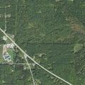 Man with low blood sugar near North Barlow Road in Spruce
