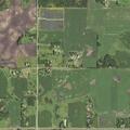 Woman yelling as horse runs loose on County Road 32