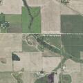 Loose dog in roadway on 690th Street