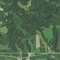 Loose cat reported near County Trunk P residence