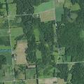 Car hits deer; injured animal in yard