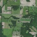 Cattle briefly block both lanes near Highway 40