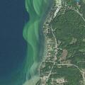 Elderly woman falls and bleeds near Southeast Torch Lake Drive