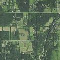 Person experiencing allergic reaction near Afton