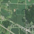 Concern for raccoon trapped at Elk Mound feed mill