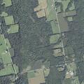 Firewood theft reported on Wiers Road in Palmyra