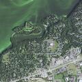 Person bitten by bat wakes with neck bite in Menomonie