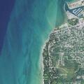 Man having possible seizure near Elk Rapids