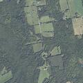 Trespass complaint involving possible bow hunter