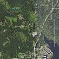 Deer struck by vehicle; driver reports no damage