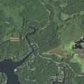 18-year-old woman dizzy after bee sting at Mallard Bay Trail