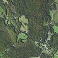Elderly woman with altered mental status in Morgan