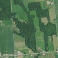 Dog bite incident at 5364 State Route 11 in Burke