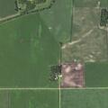 Loose pit bulls in yard near Lake Lillian