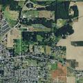 Juveniles reportedly damaging property near E Ellendale Ave