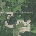 Resident reports nuisance bear on property