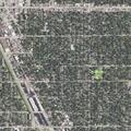 Person bitten by animal at Minneapolis intersection